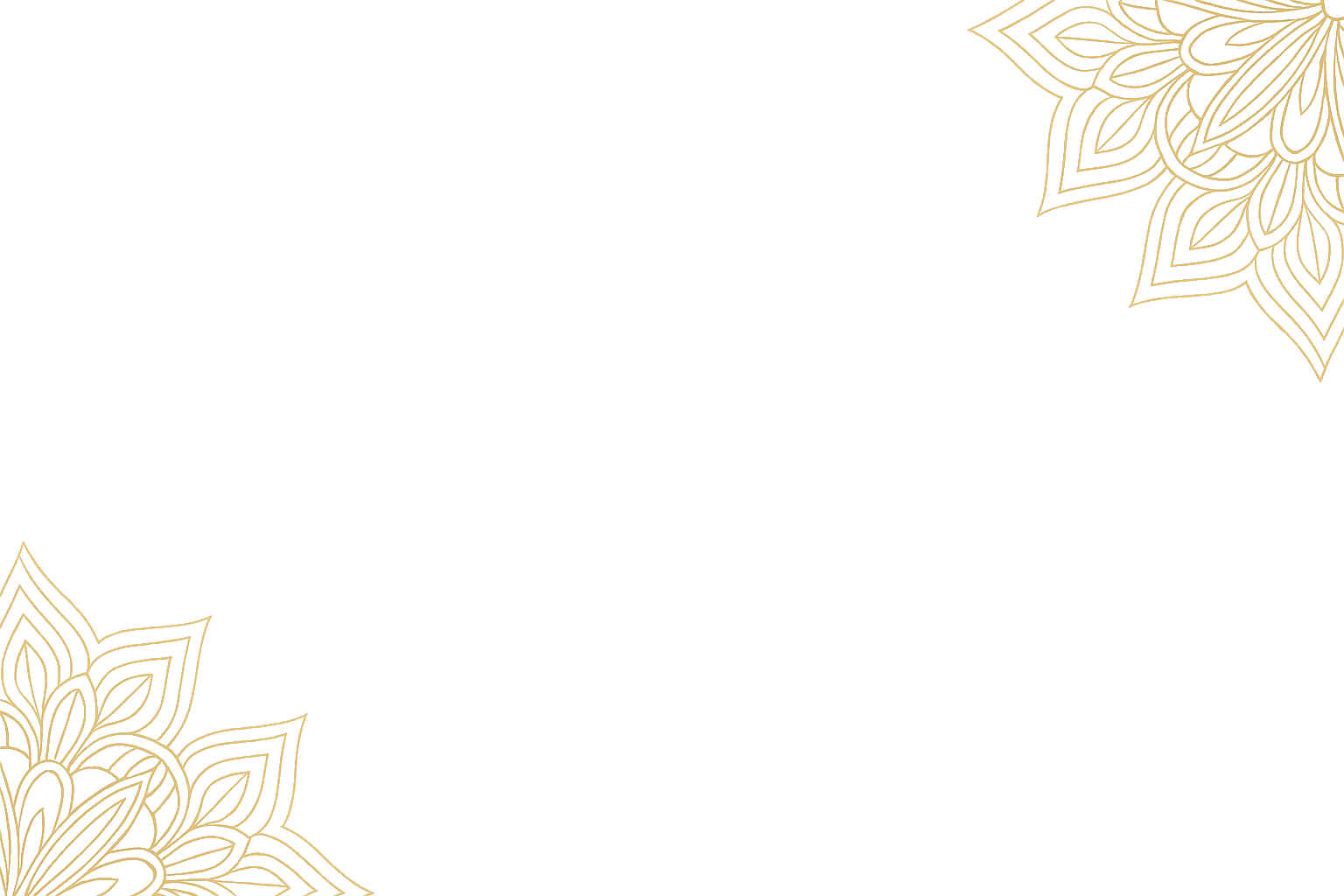 section bg white